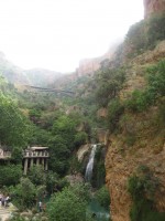 /album/galerie-de-photos-programme-touristique/safsaf-jpg/